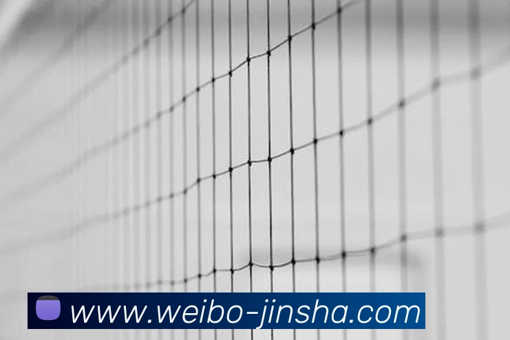 多媒体互动体验